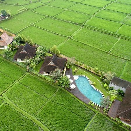 Kabinawa Ubud Villas By Pramana Villas Dış mekan fotoğraf